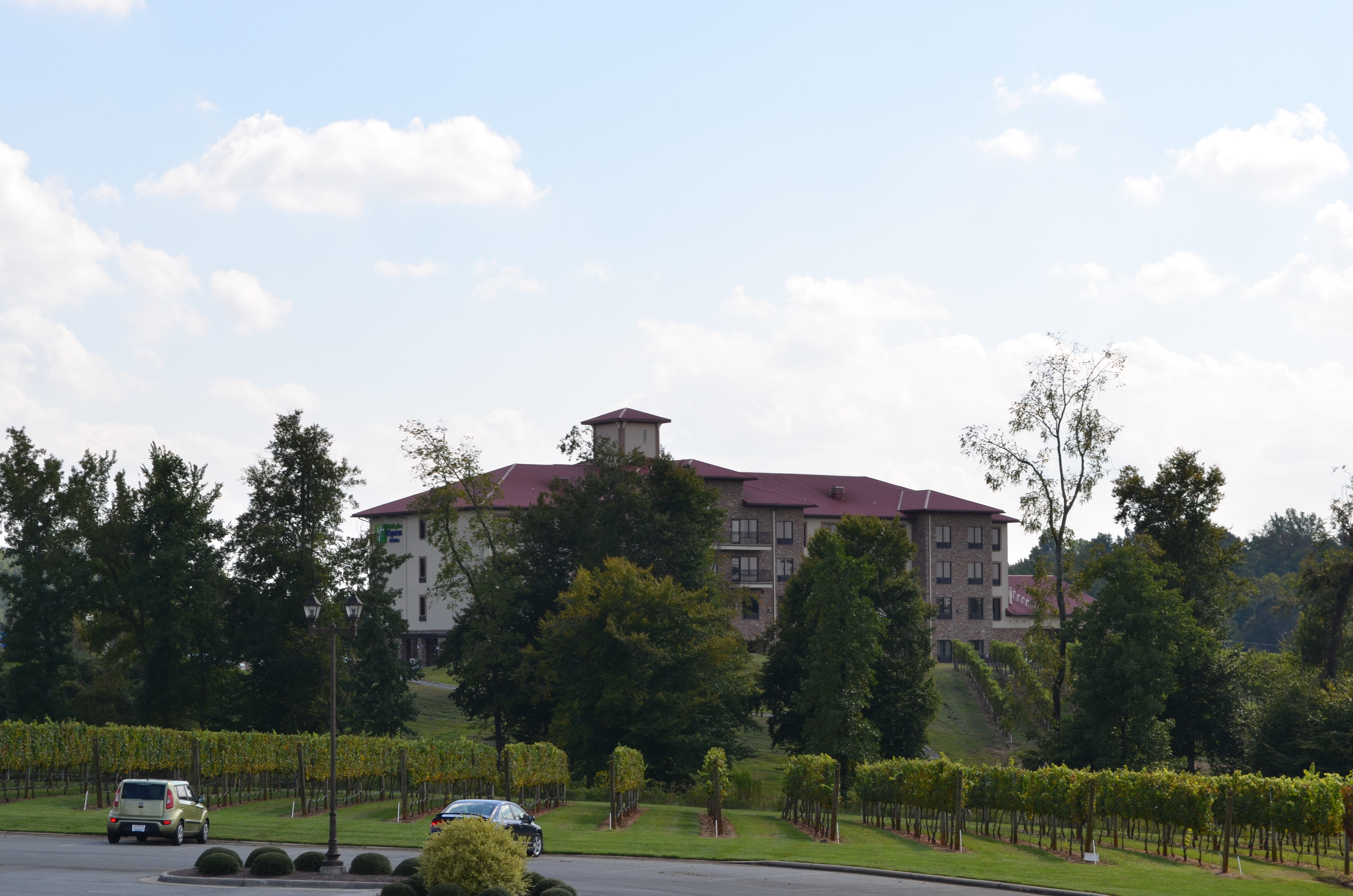 ./2012/Grape Stomp/DSC_0190.JPG